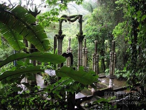 热带雨林里的魔法仙境 让人迷失的伊甸园--开心家园