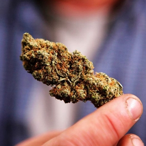 研究表明：大麻可能有效治疗癌症